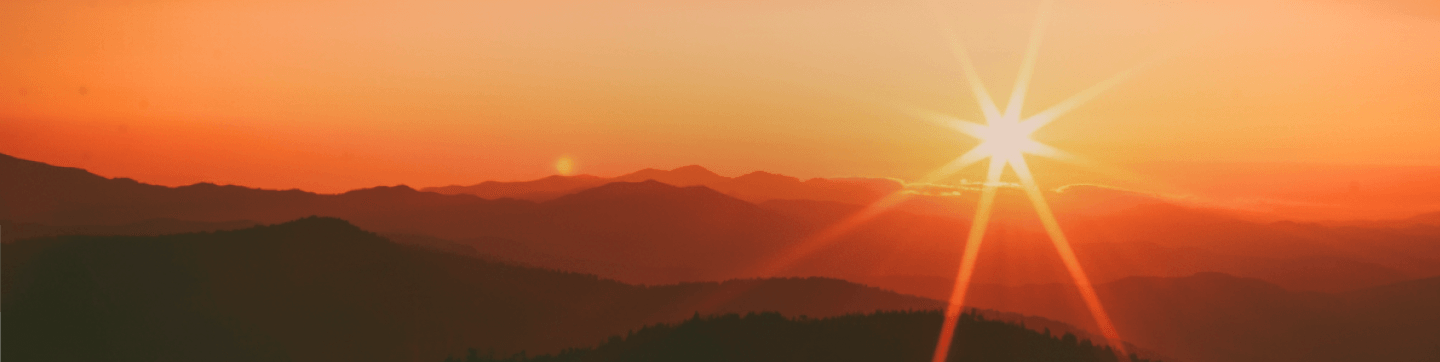 メガ初売りセール延長戦｜NEWT（ニュート） メイン画像